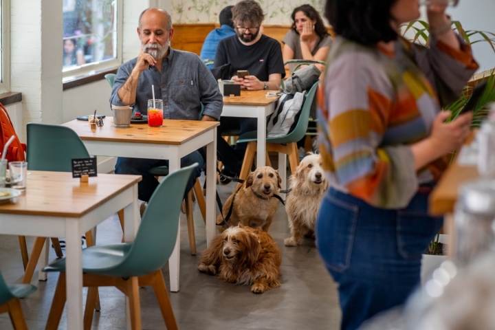Todos felices en 'Ofelia Bakery'.