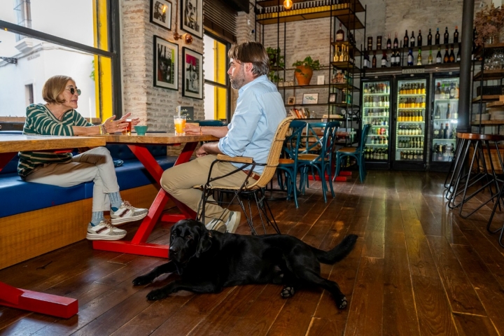 "No me distraigas, estoy guiando", se lee en el collar de este cliente especial.