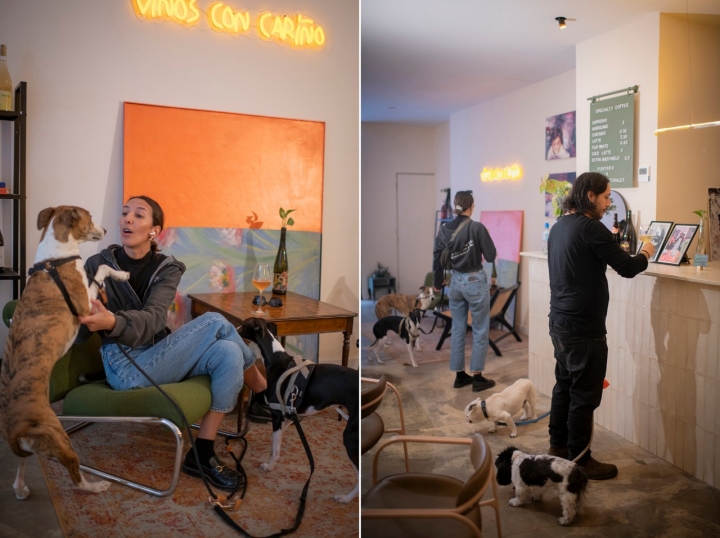 BAR DE VINOS NATURALES Y CAFÉ