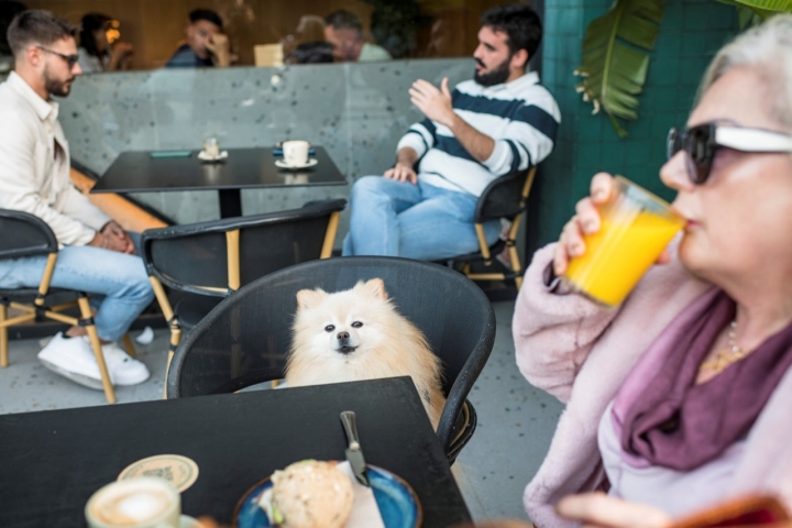 Un buen desayuno tras el paseo mañanero en ‘Narigoni’ (El Puerto de Santa María, Cádiz). Foto: Alfredo Cáliz