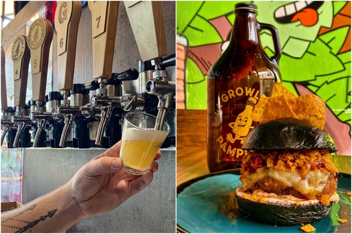 Soletes pamplona (amp) La Growleria