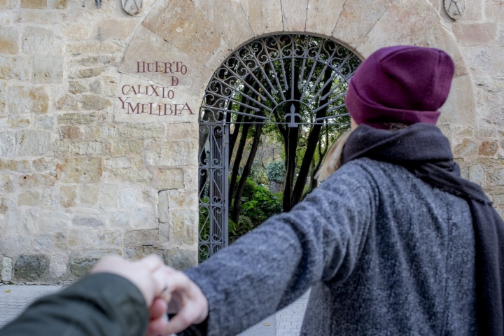 jardín calixto y melibea