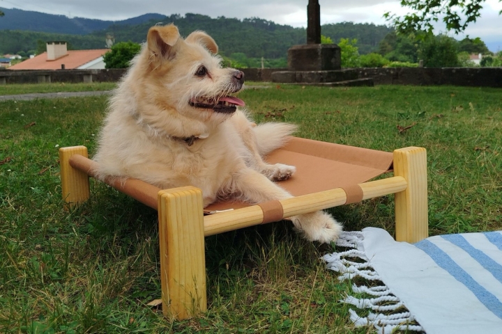 Cama plegable para mascotas