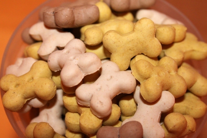 Tu mascota también se merece un capricho de vez en cuando, ¡pero sano!. Foto:Bykst.