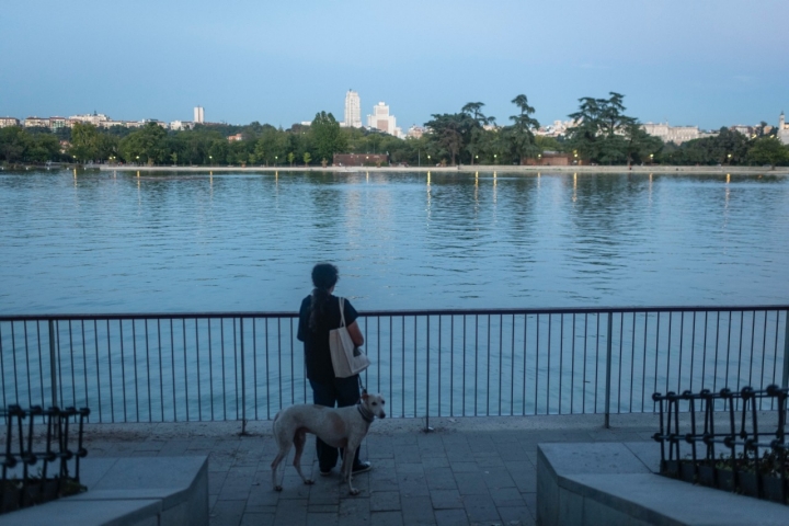 Ruta con perro por la Casa de Campo de Madrid