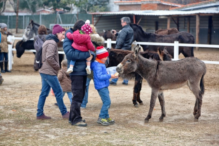 Ellos los entienden a la perfección.