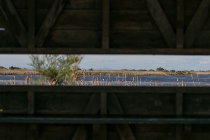 Punto de observación de las aves. Foto: Pekebikers.