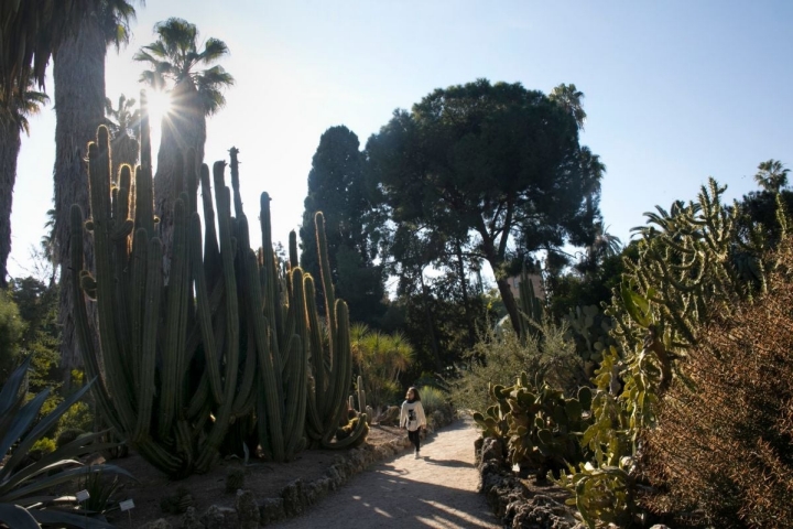 Especies de todos los rincones del planeta jalonan los senderos.