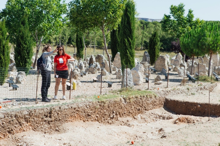 La necrópolis de Las Ruedas, se sitúa a unos trescientos metros al sur de Las Quintanas, separado de ésta por el arroyo de La Vega