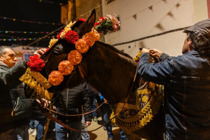 Jinetes y amazonas acicalan a los caballos con flores.