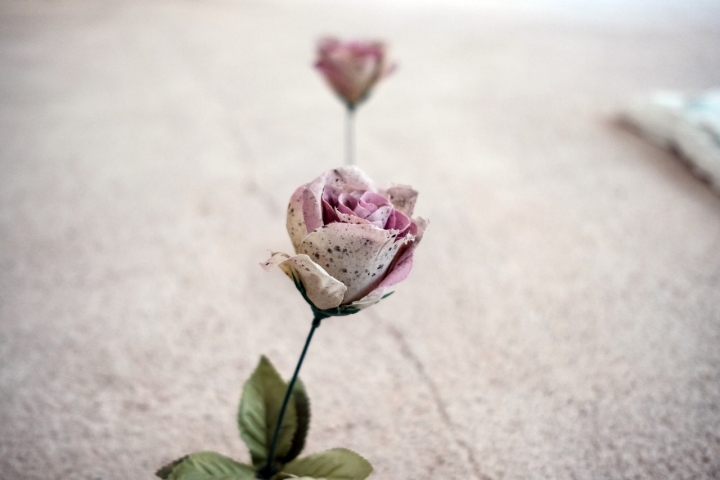 Detalle de una de las flores expuestas sobre el suelo.
