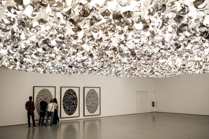 Sabrina trabaja con artistas visuales contemporáneos.