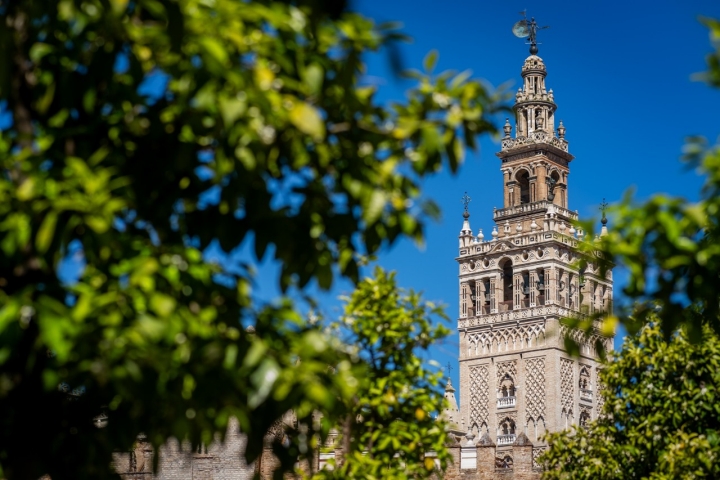 La Giralda desde el Patio de Banderas.