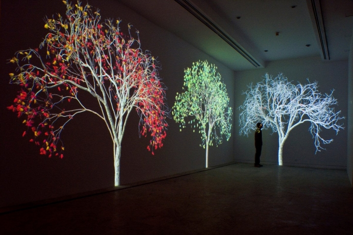 El paso de las estaciones y el tiempo. Foto: Jennifer Steinkamp.