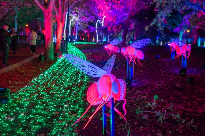 A las inmensas avispas les falta saludar.