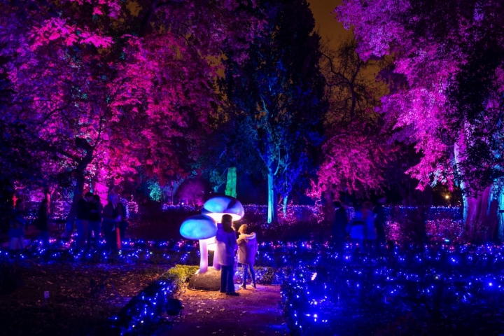 Encendido luces navidad Botánico de Madrid