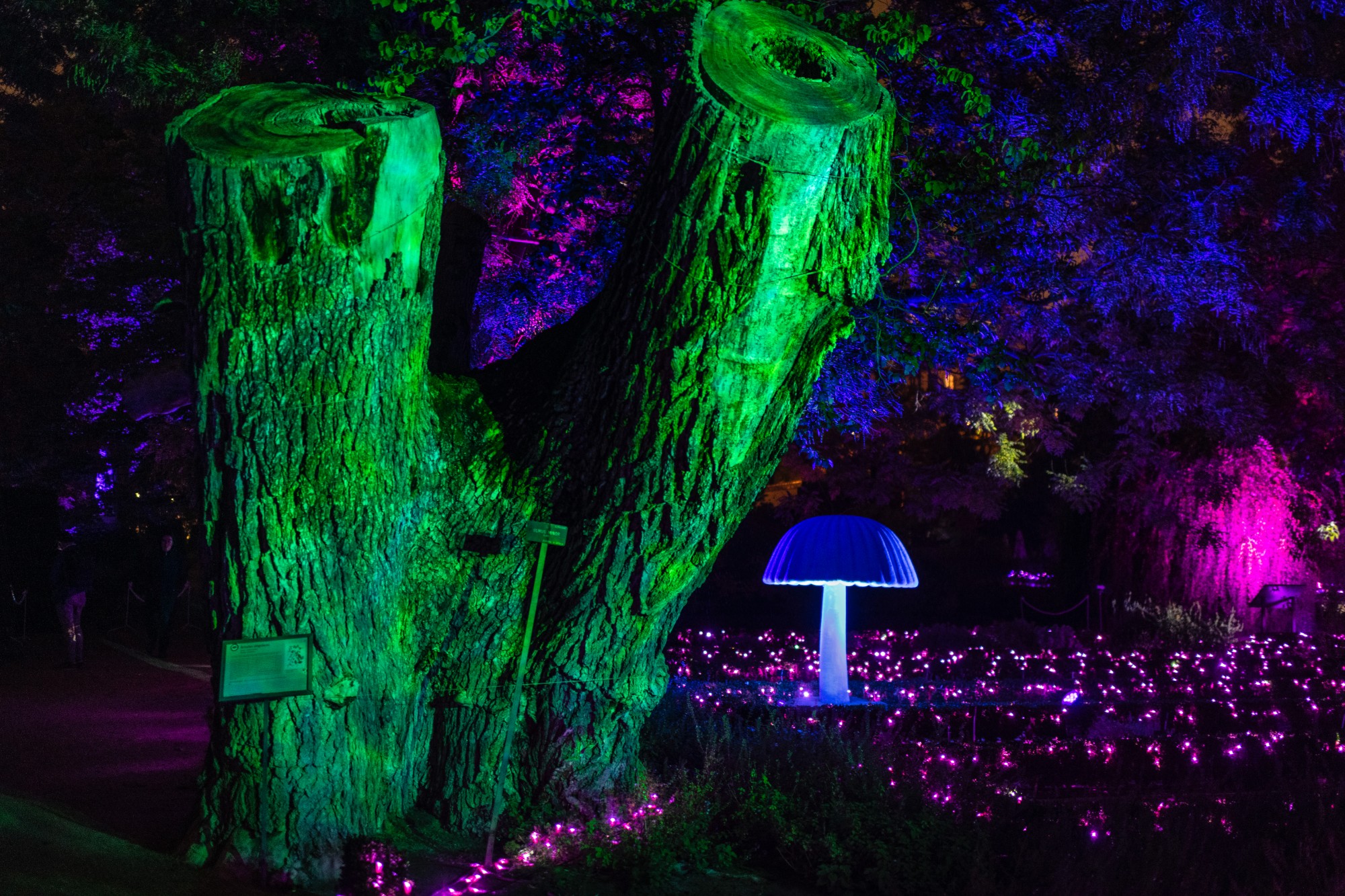 Encendido luces navidad Botánico de Madrid