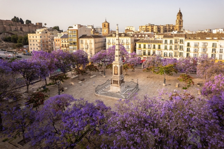 Plaza de la Merced, Málaga