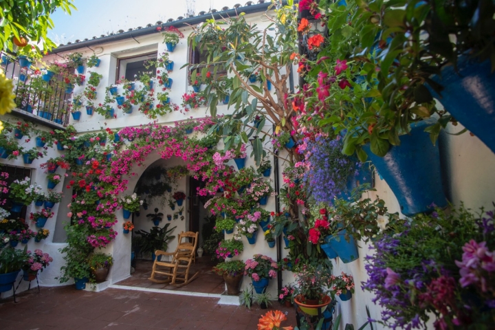 La ruta incluye 63 patios.