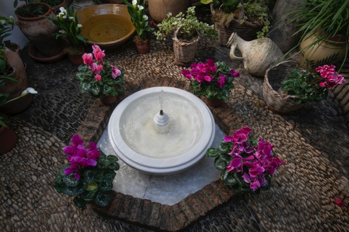 Detalle de la fuente del Patio de Tafures.