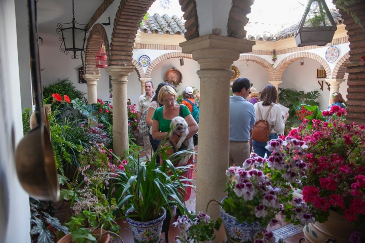 Hasta las mascotas visitan los patios.