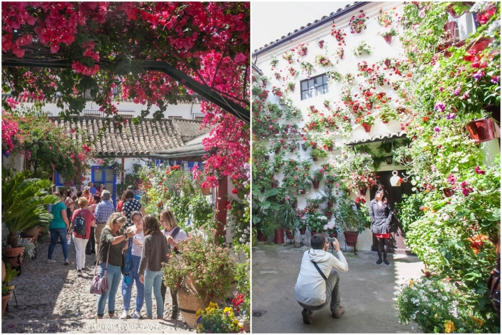 La entrada a los patios es gratuita.