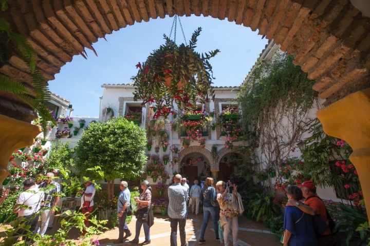 El Patio de la calle Parras, premiado por su autenticidad.