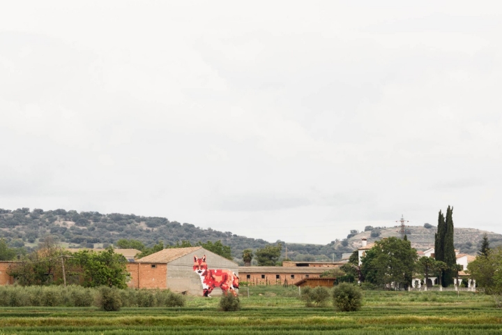 RUN @ IGNASI ROSÉS. BARCELONA. EDICIÓN 2016