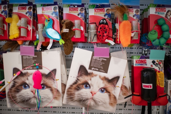 La entrada al Salón de Gatos cuesta unos 5-8 euros y se necesita inscripción previa.