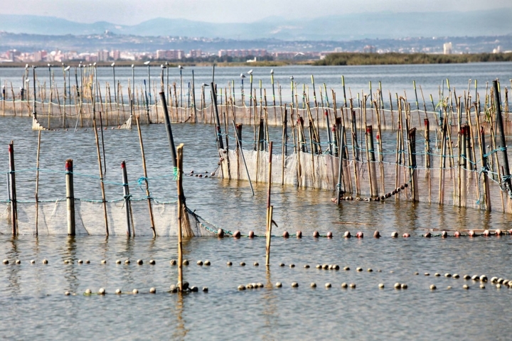 La Albufera, el paisaje del sur valenciano. Foto: Consuelo Xambó.