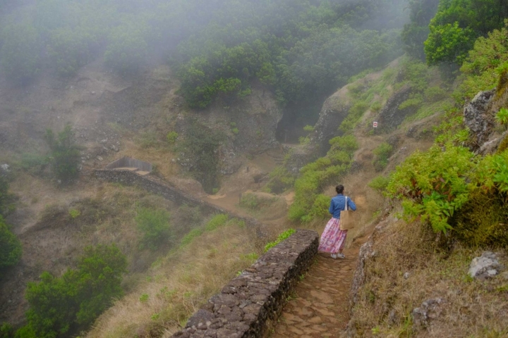 Camino que baja hasta donde está plantado el tilo conocido como Garoé.