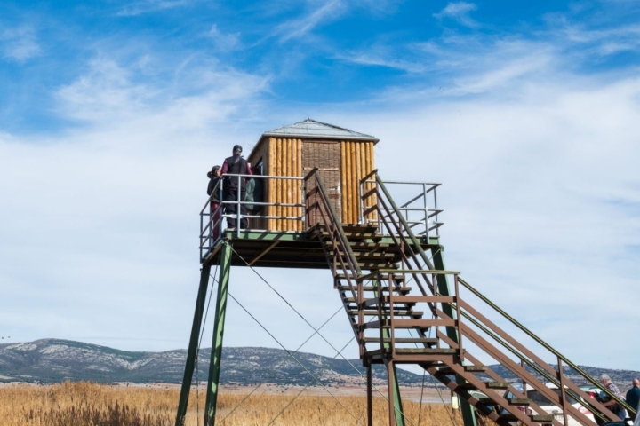 Avistamiento de grullas en Gallocanta: observatorio de La Reguera