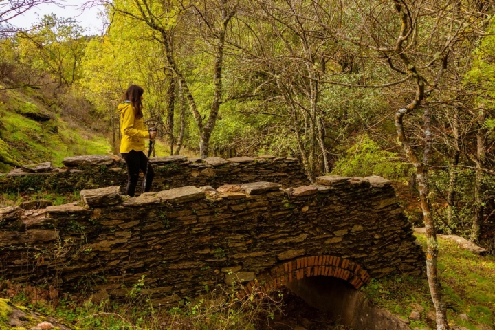 Una senderista atraviesa un puente en la ruta por el barranco de Bornova (Guadalajara).