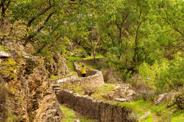 Camino hacia la Presa de la Plata (Guadalajara).