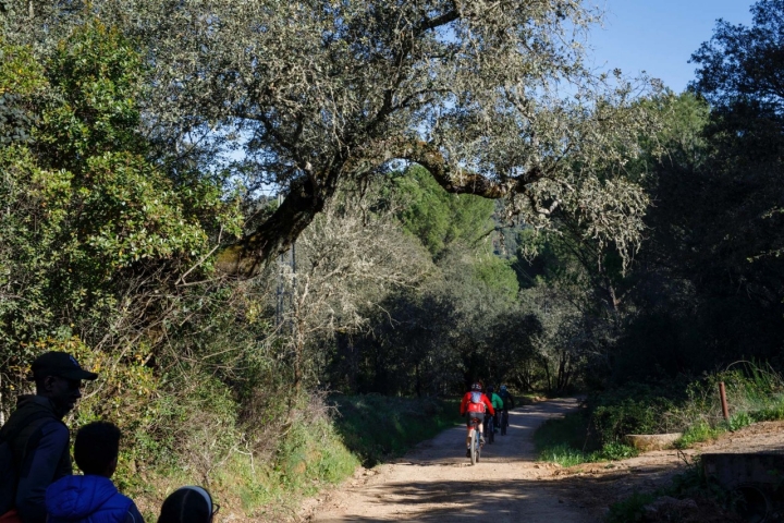 Ciclistas en la ruta.