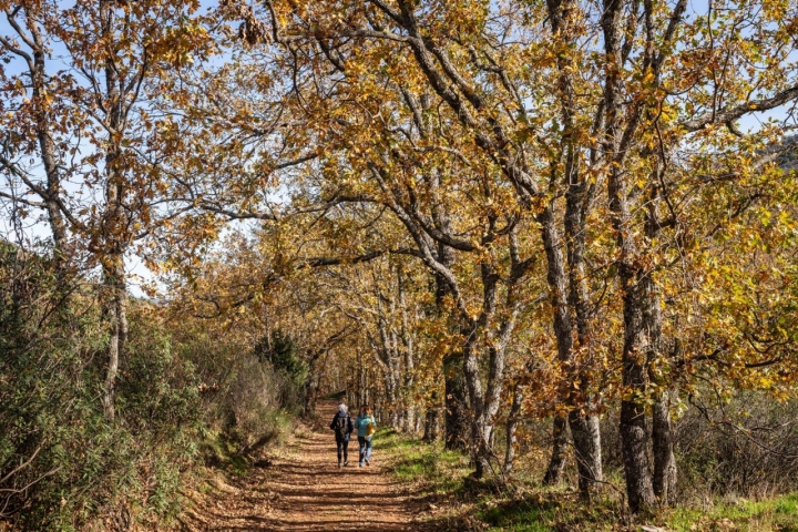 La ruta recorre 8 kilómetros en total.