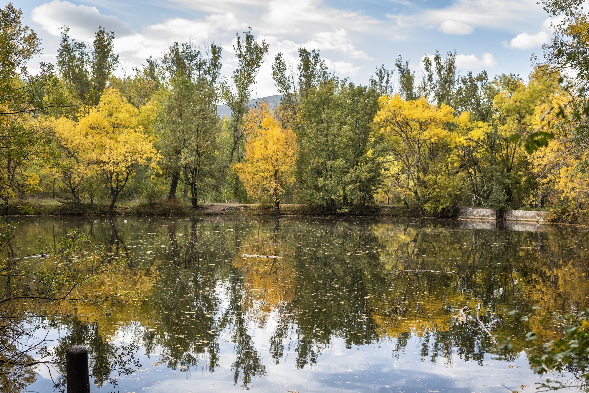 Bosque Finlandés Rascafría otoño