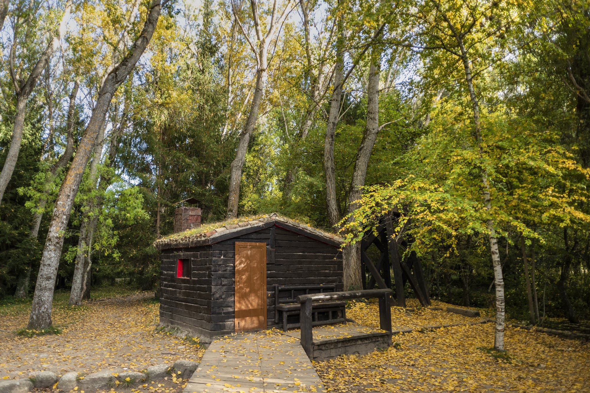 Bosque Finlandés Rascafría sauna