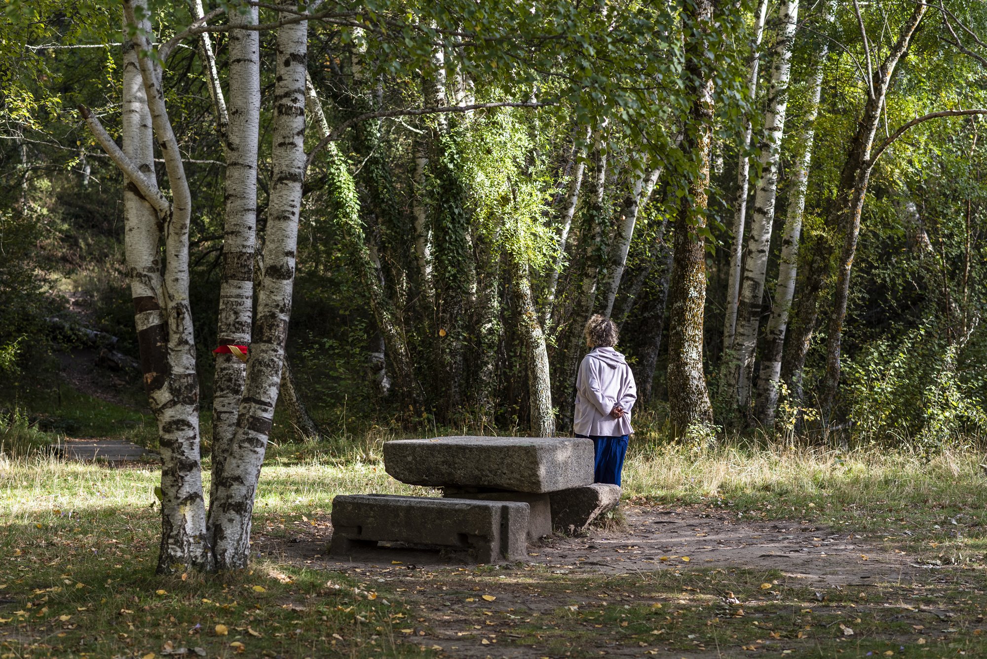 Bosque Finlandés Rascafría bancos de granito