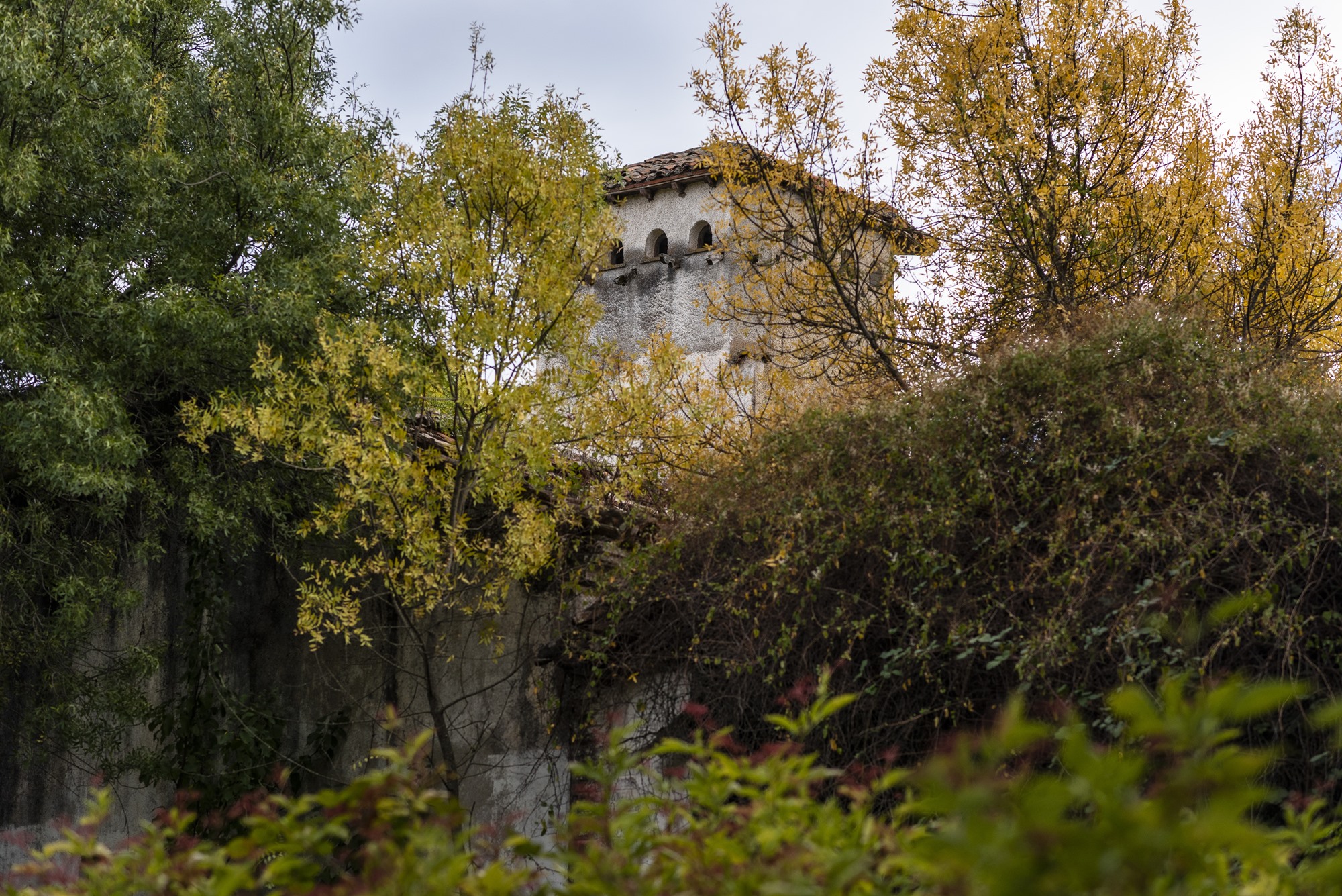 Bosque Finlandés Rascafría torre palomar