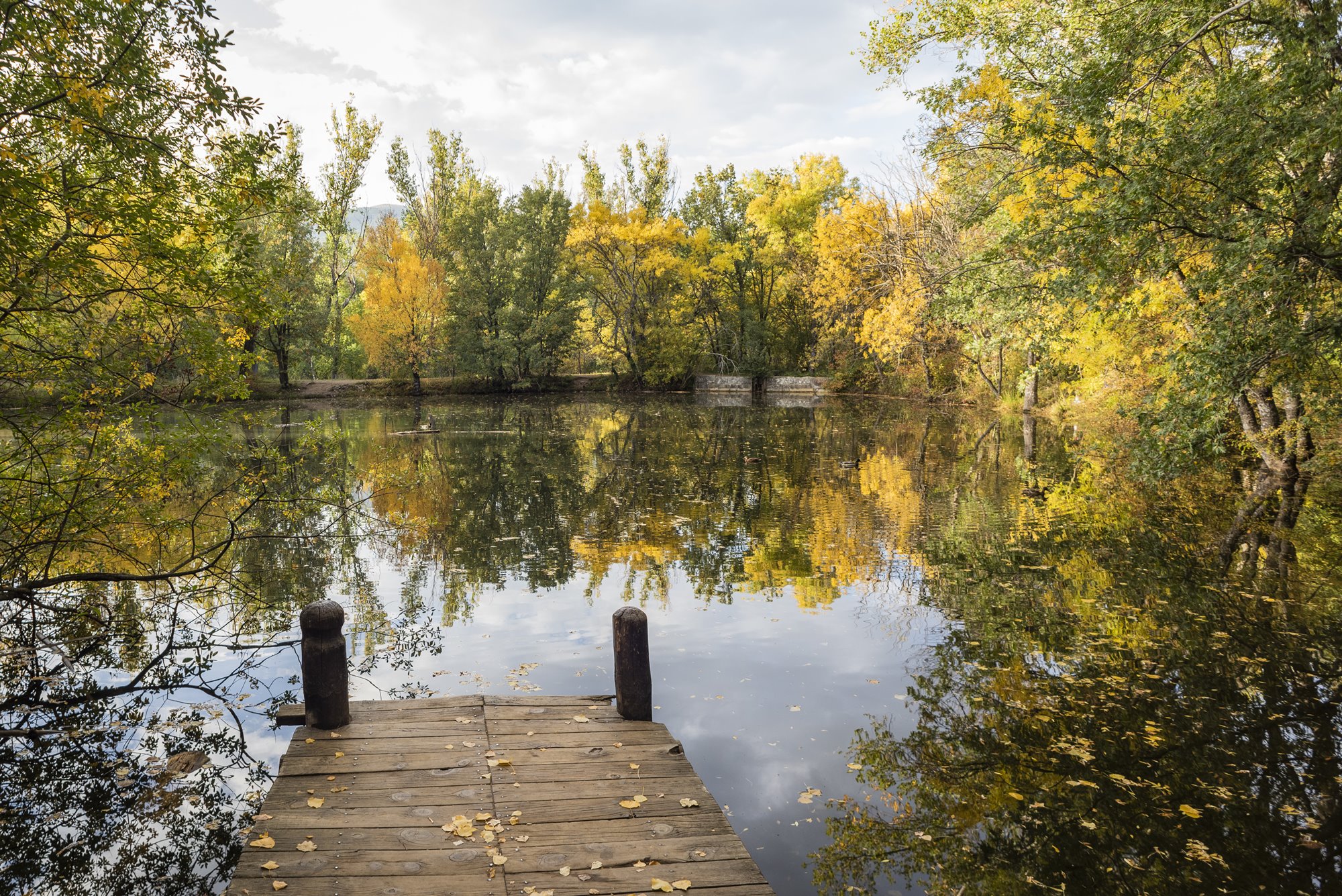 Bosque Finlandés Rascafría embarcadero con lago