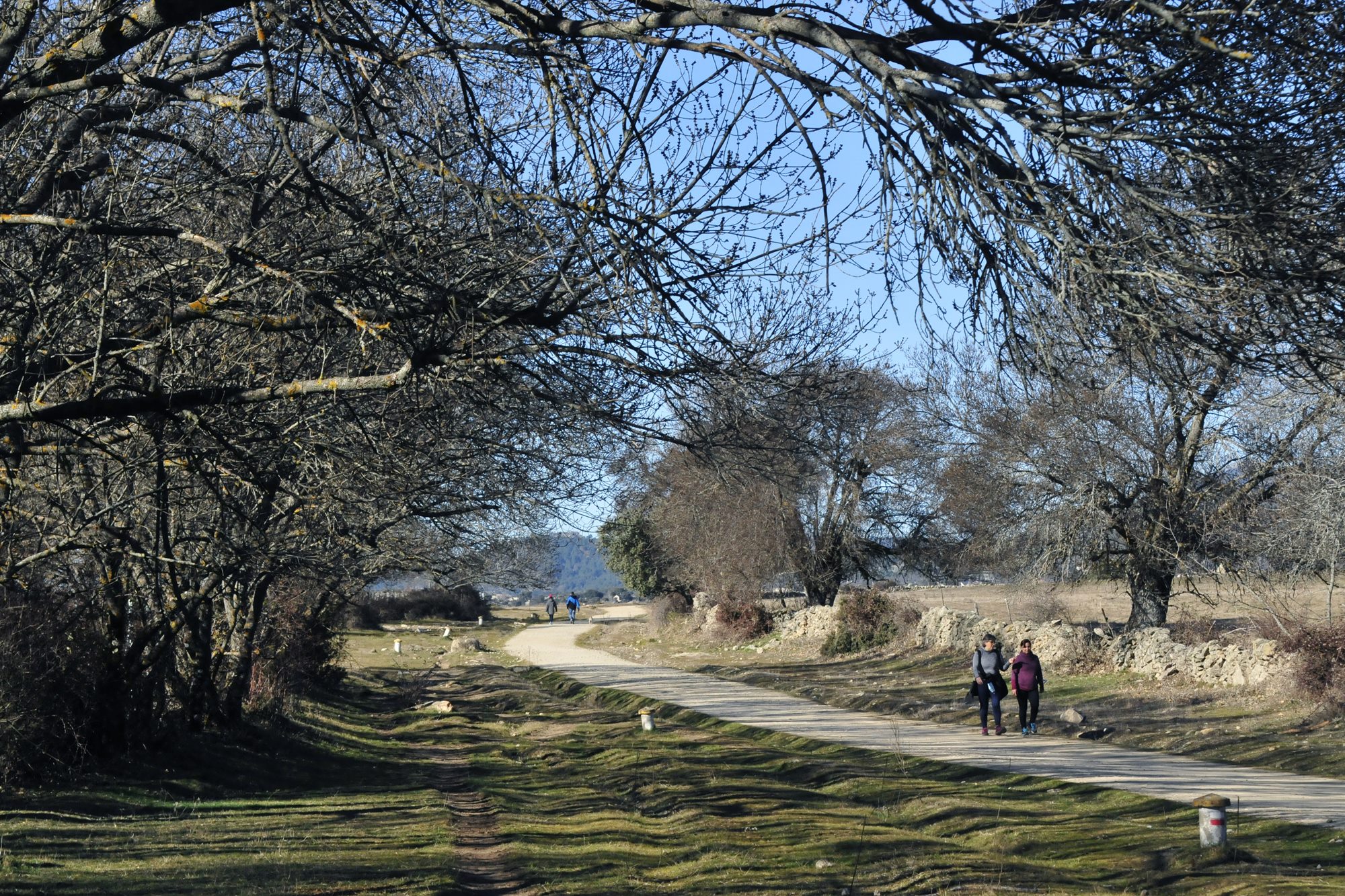 El entorno de Cercedilla condensa una gran parte de los atractivos naturales de la Sierra de Guadarrama.