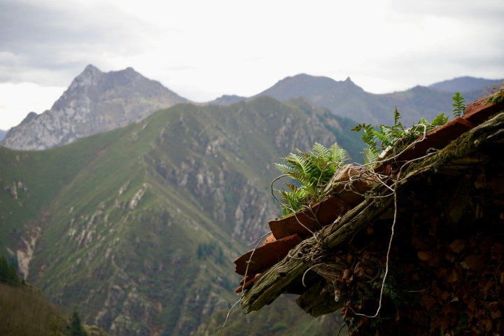 Camino Medieval Bandujo