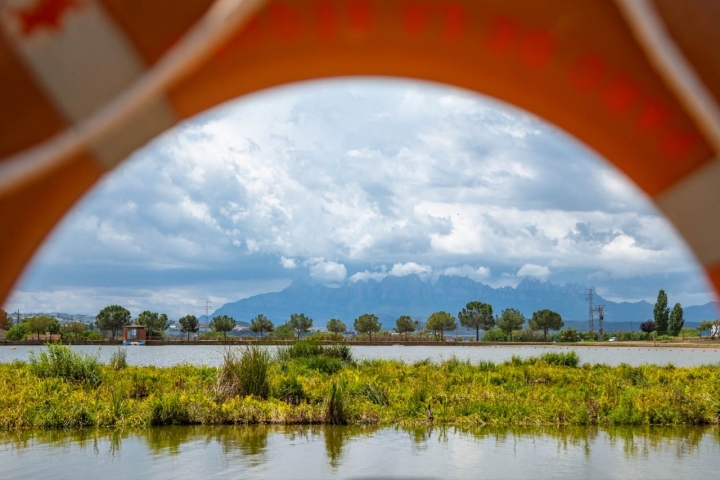 Camino Natural Sequia Manresa agua y vegetación