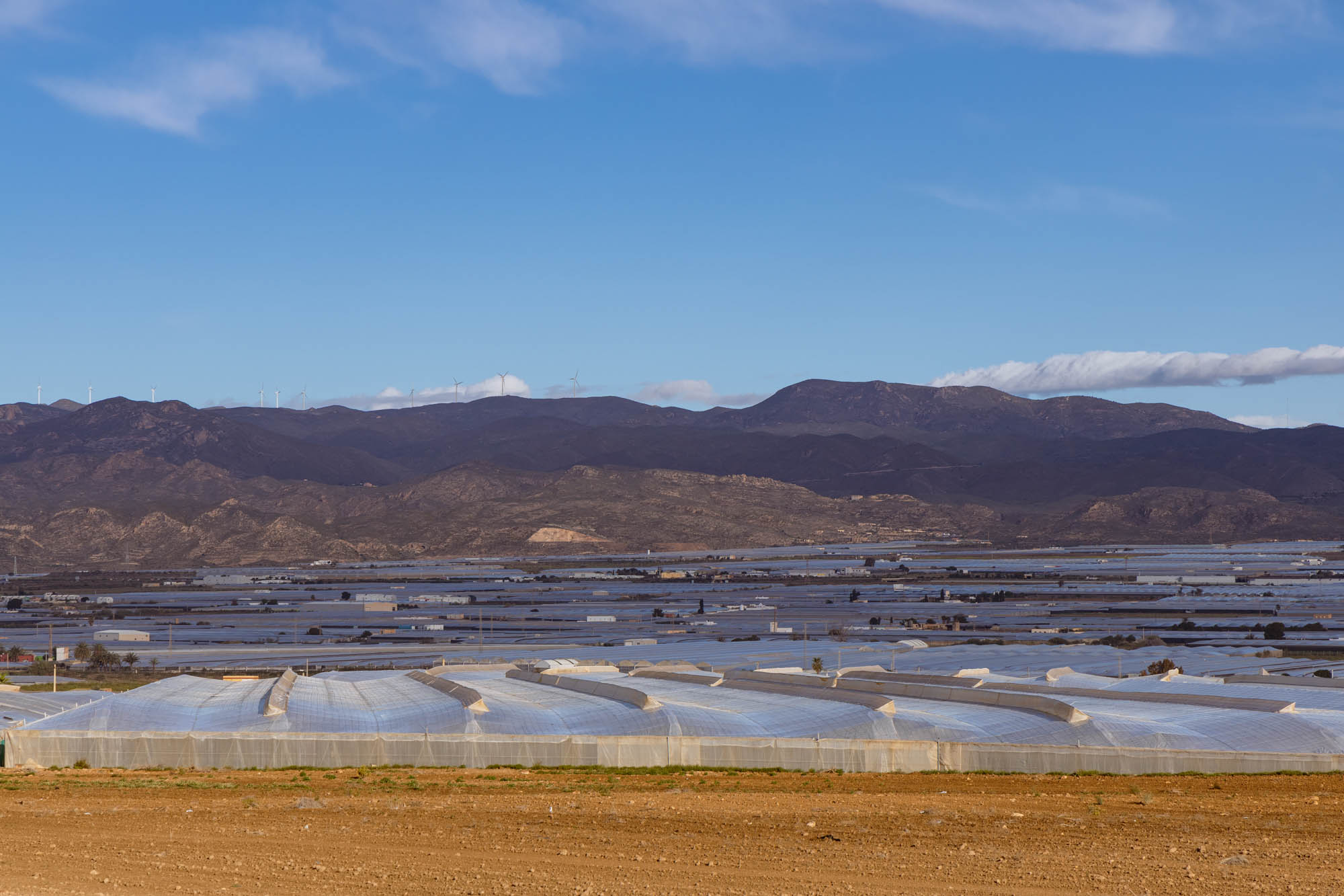 Invernaderos a la altura de Campohermoso, en Níjar