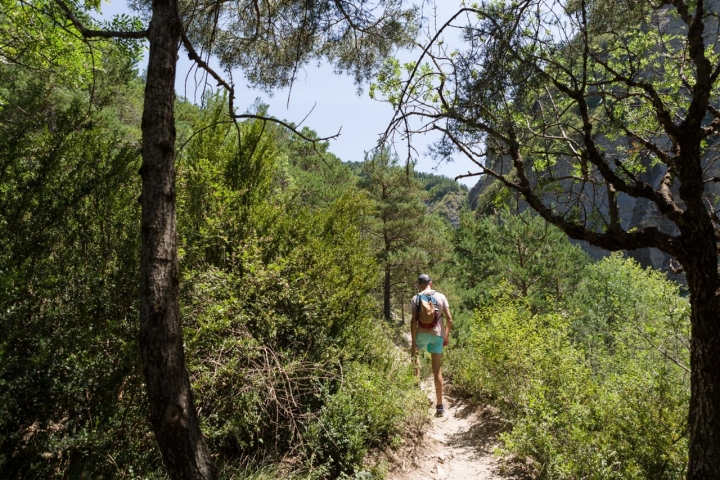 Cascada D’os Lucas (Biescas, Huesca) camino