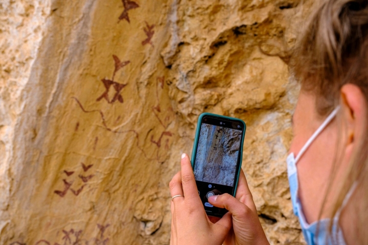 Cueva letreros árbol genealógico