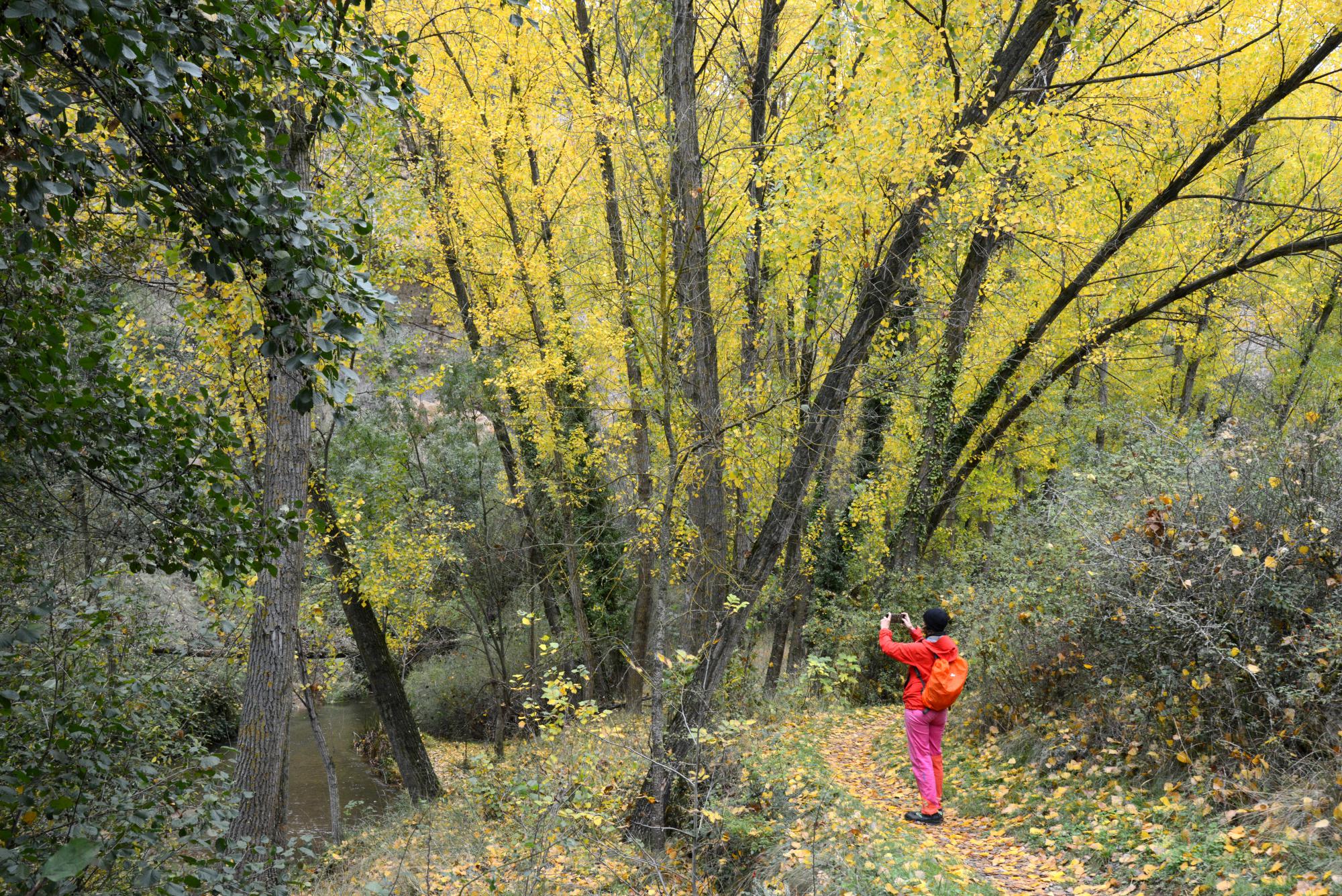 Hoces del Rio Duratón. Segovia. Foto: © Alfredo Merino