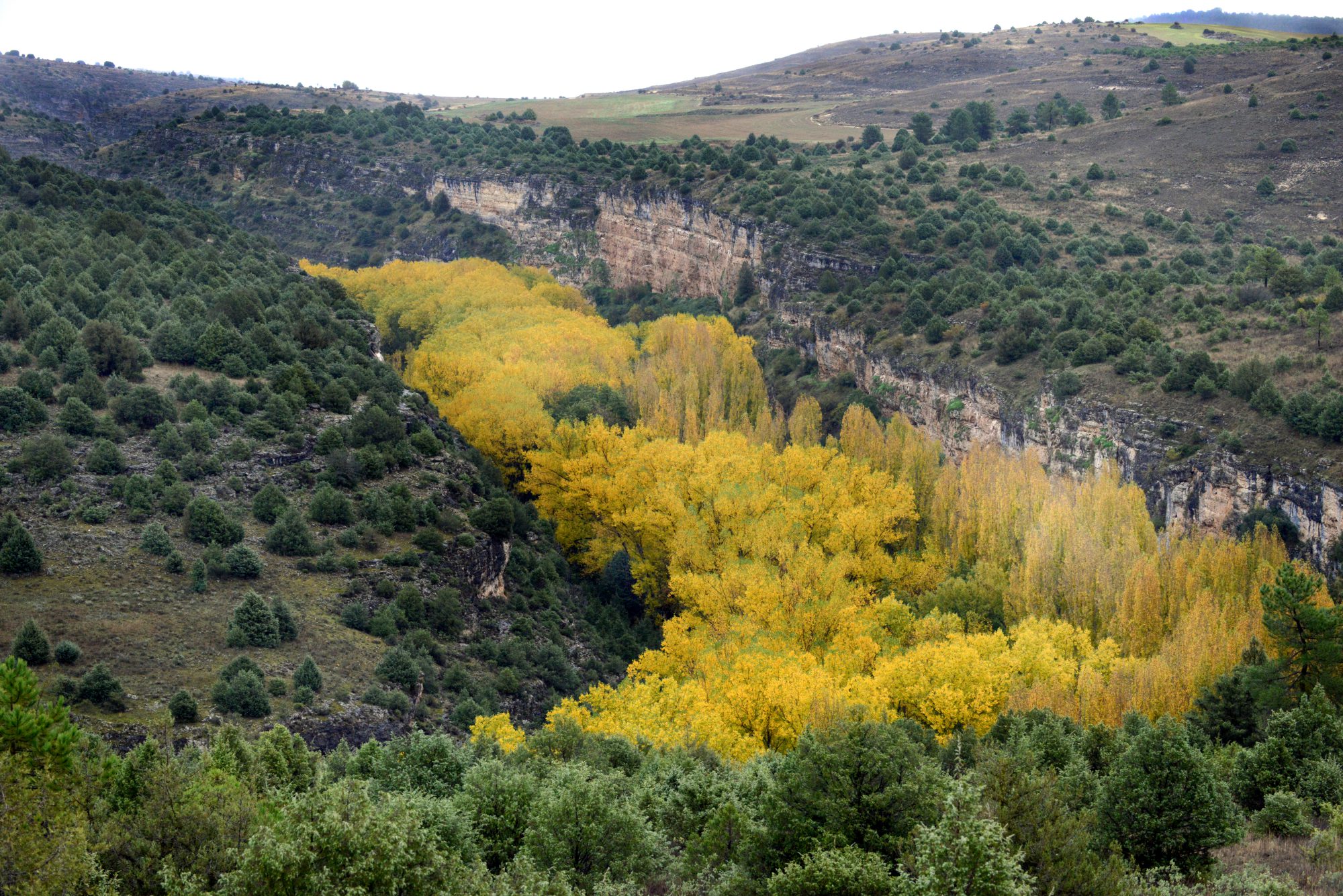 Así luce el Parque Natural de las Hoces del Río Duratón. Foto: © Marga Estebaranz