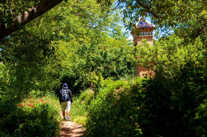 Escapada Anento torre en bosque